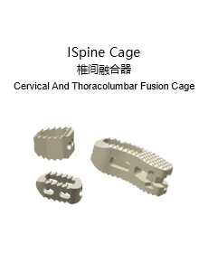 ISpine Cage 椎间融合器